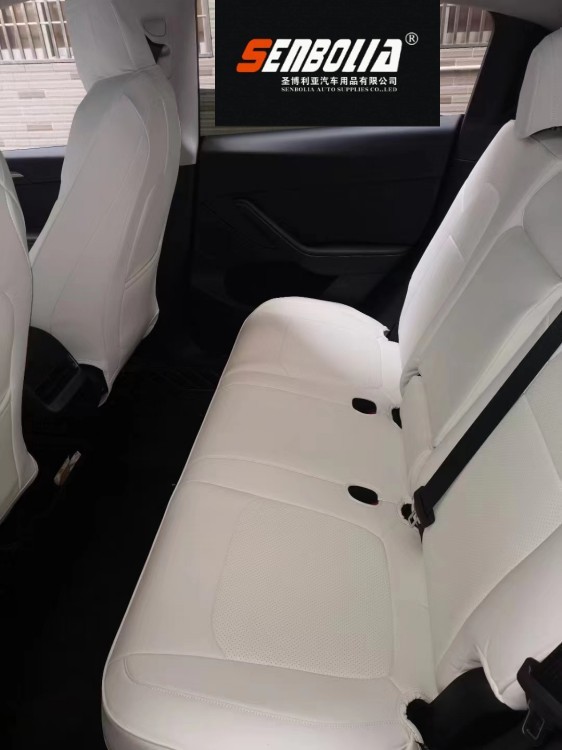 Tesla Car Cushion